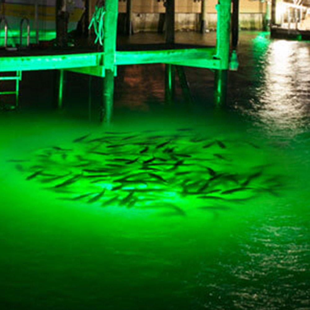 Bjornsen Pond Management